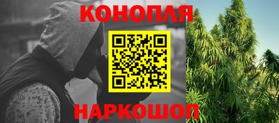 крисы Аша