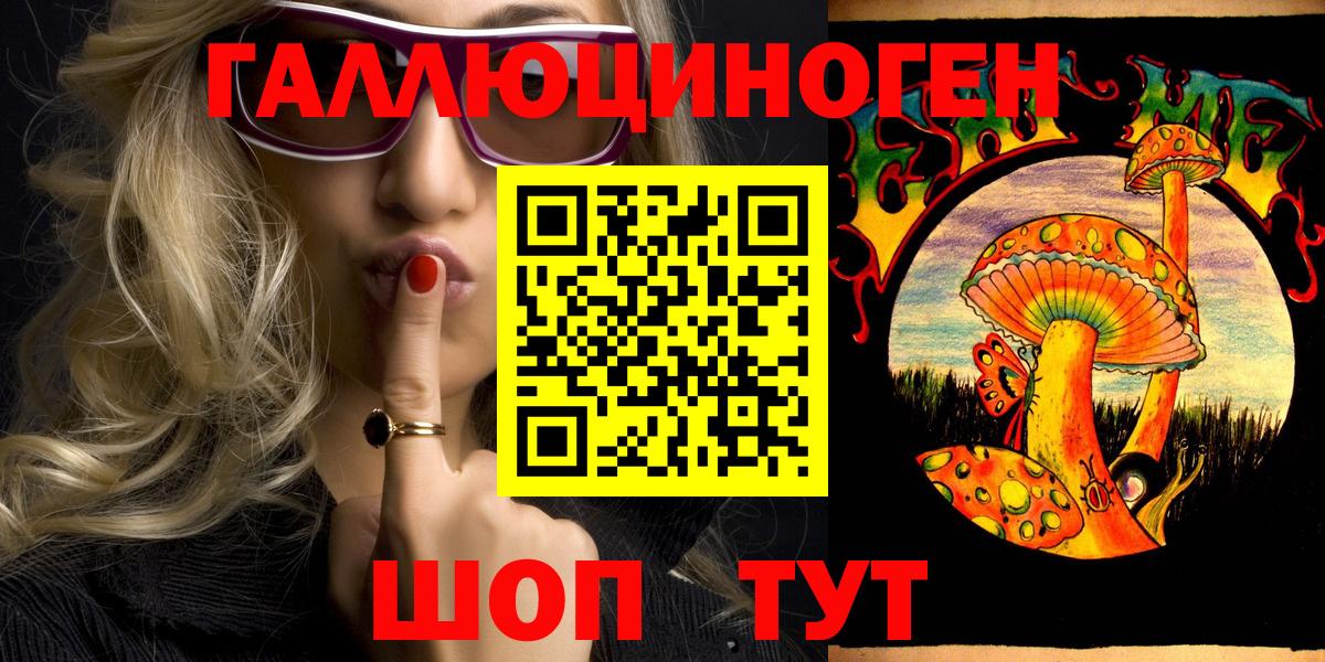 Псилоцибиновые грибы Psilocybine cubensis Калуга