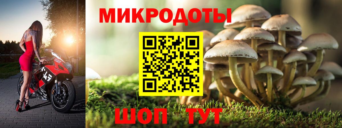 Псилоцибиновые грибы прущие грибы  Вход с VPN  как найти закладки  Калуга 